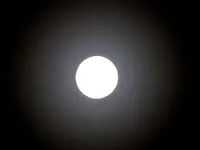 Copy of IMG_2841v.webp