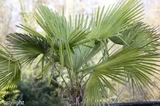 IMG_3688.webp