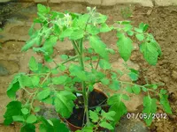 BILD0792.webp