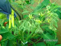 BILD0790.webp