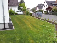 2012-05-07 07.31.33.webp