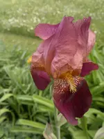 07052012837.webp