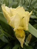 07052012838.webp