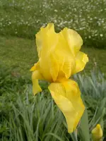 07052012839.webp