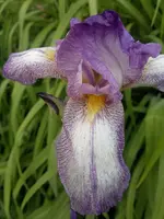 07052012840.webp