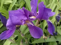 07052012841.webp