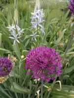 07052012844.webp