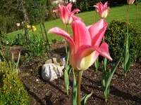 CIMG4309.webp