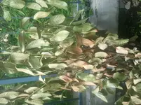 2012-05-04 11.55.25.webp