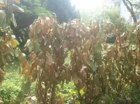 2012-05-04 11.55.42.webp