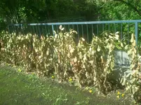 2012-05-04 11.56.28.webp