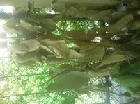 2012-05-04 11.56.44.webp
