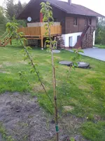 2012-05-07 19.19.43.webp