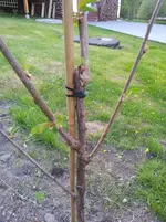 2012-05-07 19.19.36.webp