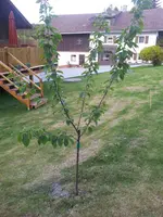 2012-05-07 19.20.32.webp