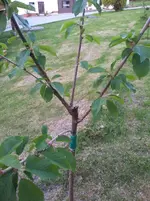2012-05-07 19.20.26.webp