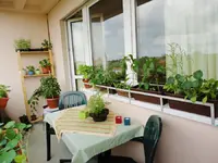 balkon-anzucht-nutzgarten-garten.webp