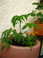 IMG_3012.webp