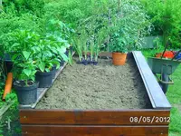 BILD0796.webp
