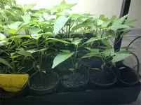 2012-05-08-030.webp