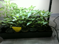 2012-05-08-031.webp