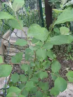 IMG_8614.webp