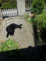 20120508150113.webp