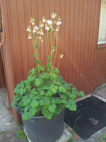 20120508150259.webp
