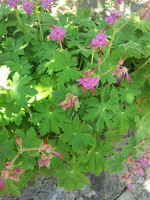 20120508150326.webp