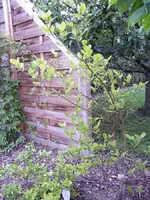 Geburtstag Luisa 2012 061.webp