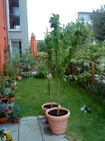DSC00246.2.webp