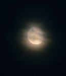 DSC_7434 Mond.jpg