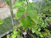 k-IMG_0006.webp