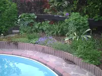 Poolbeet3.09.05.2012.webp