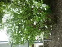 2012-05-09 11.40.38.webp