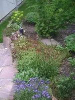 Poolbeet4.09.05.2012.webp
