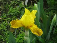 IMG_gelb oben1_1024x768.webp