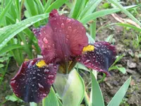 IMG_fragezeichen1_1024x768.webp