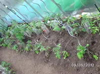 BILD0126.webp