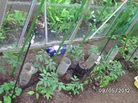 BILD0129.webp