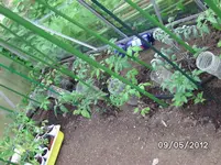 BILD0130.webp