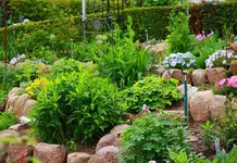 von unten rechts aus dem Garten_smaller.webp