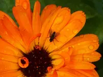 HPIM3633.webp