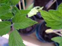 DSCF2753.webp