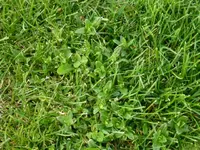 25.04.2012 (4).webp