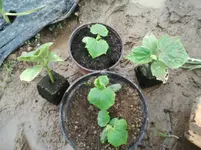 Photo0207.webp