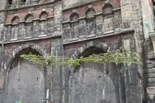 2012_0509Frühling0059.webp 2012_0509Frühling0059.webp