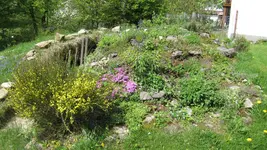 IMG_2609.webp