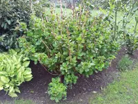 2012-05-10 12.19.05.webp