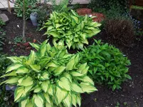 2012-05-10 12.18.42.webp